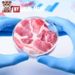 Health Benefits of Meat from NY Halal Meat